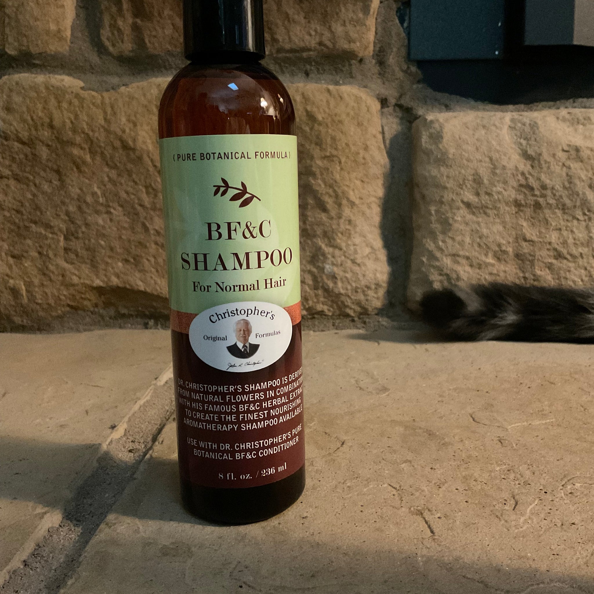 BF&C Natural Shampoo
